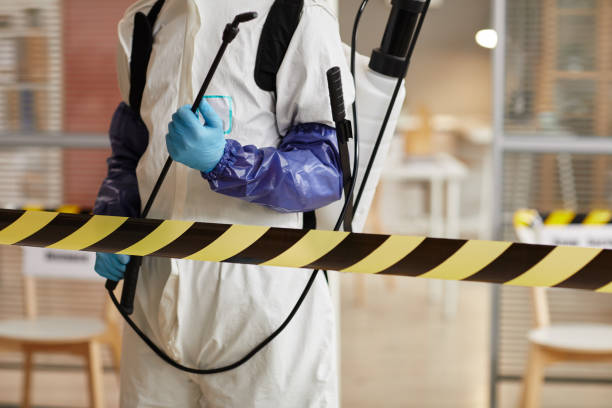Professional Sewage Cleanup technician working in Butler, NJ